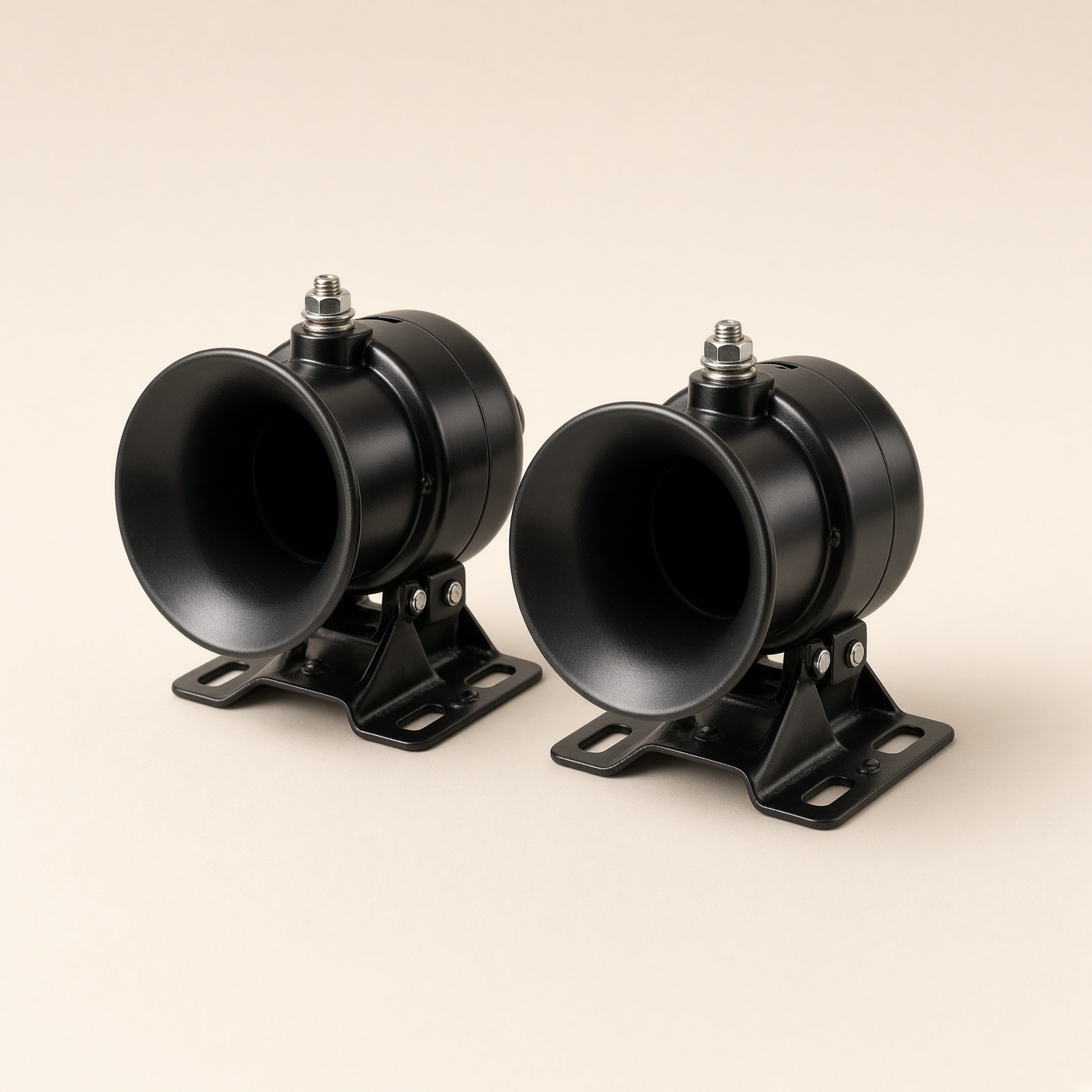 Horn pair